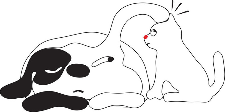 貓狗戳