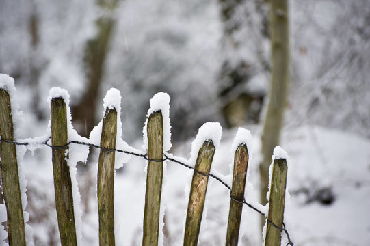 雪柵欄