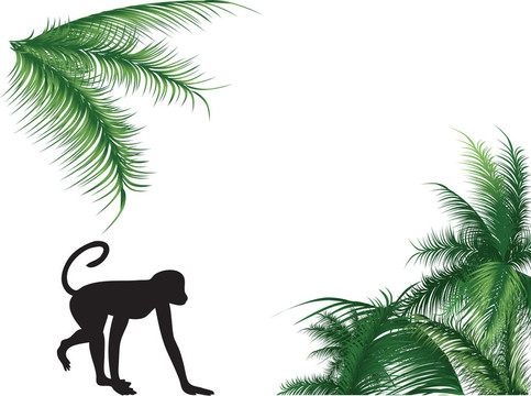 猴子和棕櫚