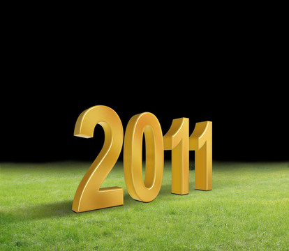 新的一年2011