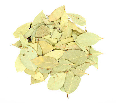 白色背景的海灣樹(shù)葉
