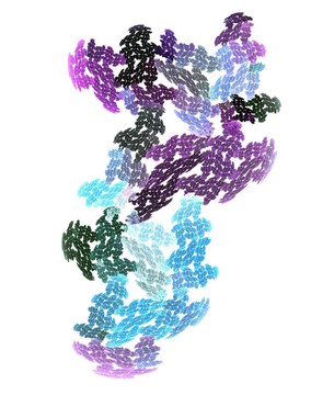 白色數(shù)字分形