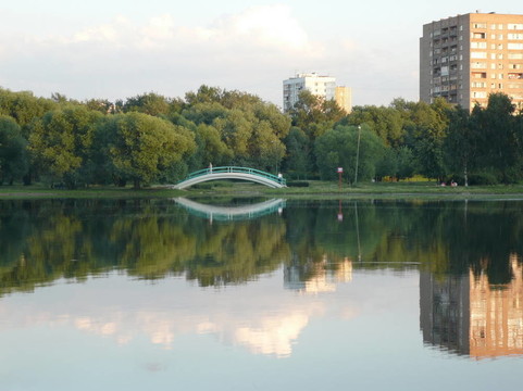 夏天在公園