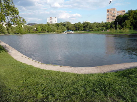 城市公園的夏天