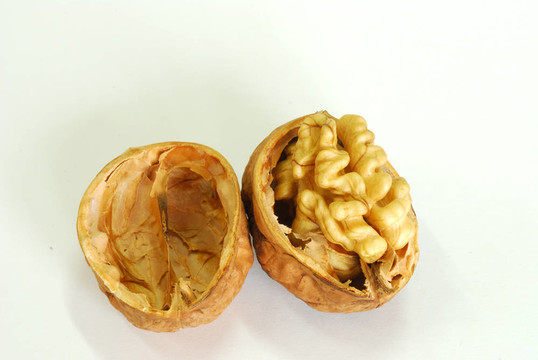 心的核桃