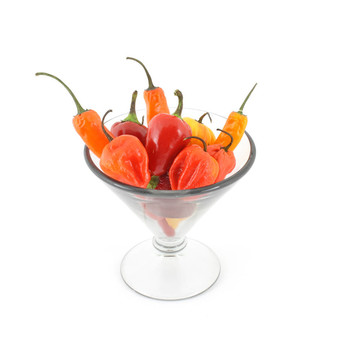 大martini glass辣椒