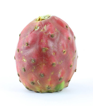多刺的仙人掌