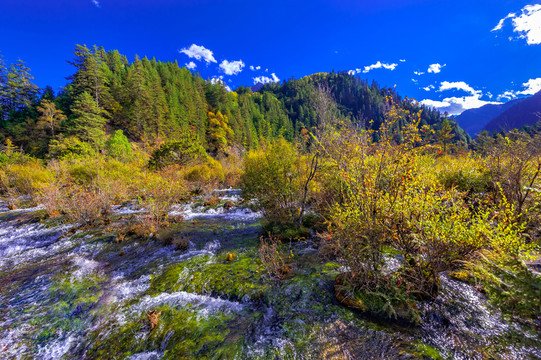 珍珠灘 九寨溝