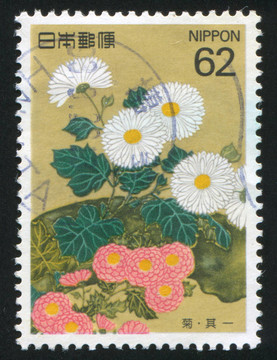 菊花