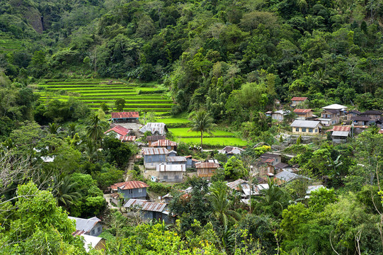 山峰村