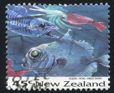 魷魚