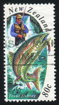 釣鱒魚