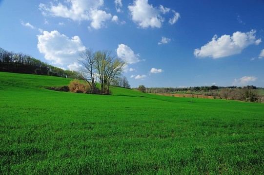 藍(lán)天下的Greenfield