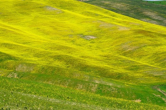 Val d Orcia（托斯卡納）
