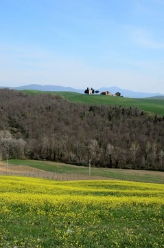 Val d Orcia（托斯卡納）