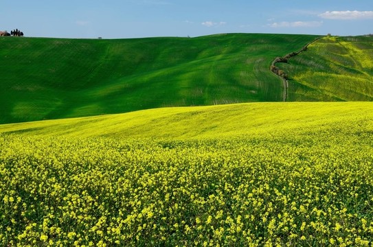 Val d Orcia（托斯卡納）