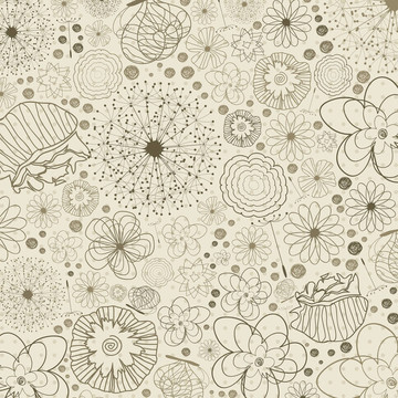 花的結(jié)構(gòu)