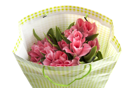 tulipbag