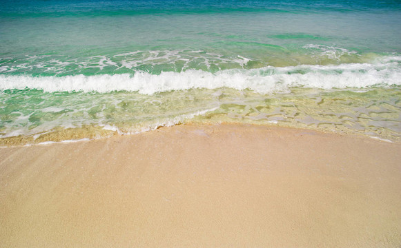 海灘和大海