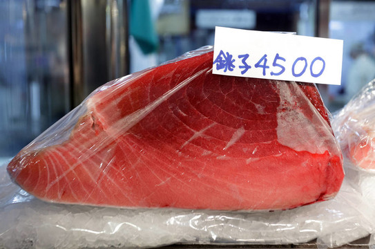 日本紅金槍魚