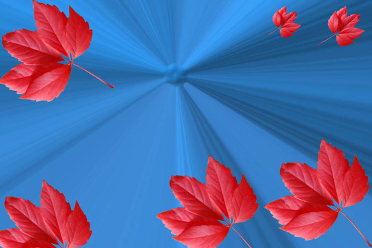 抽象時(shí)尚的藍(lán)色背景與紅葉
