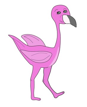 火烈鳥鳥