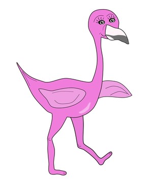 可愛(ài)的紅粉佳人火烈鳥(niǎo)