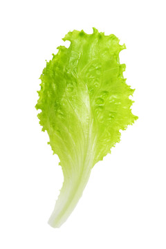 新鮮的生菜沙拉