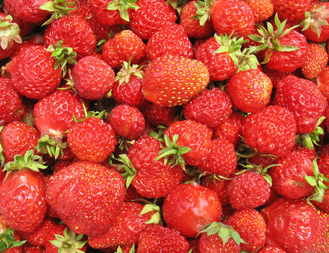 Strawberry特寫(xiě)-漿果背景