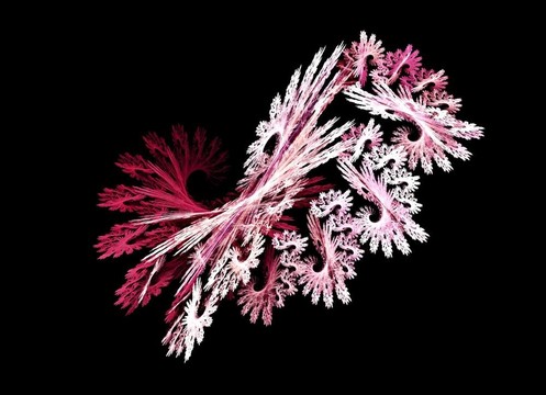 Lila摘要雪花