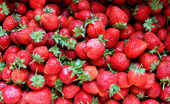 海Strawberry