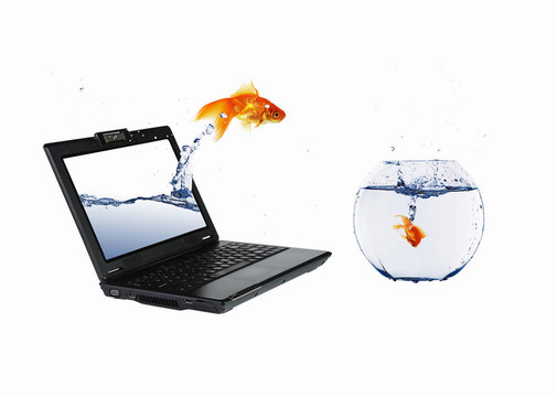 筆記本電腦上的金魚(yú)