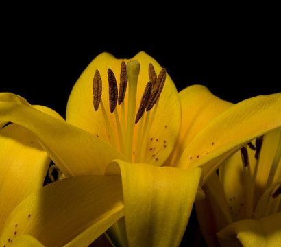 花粉季節(jié)