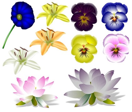 花
