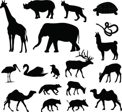 動物剪影