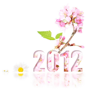 清新清潔花開2012