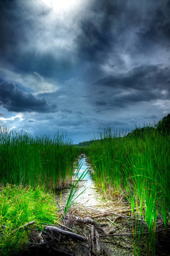 照亮濕地的暴風雨天空
