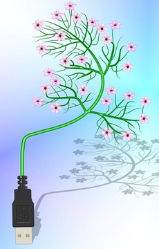 綠色的USB電纜