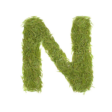 字母；綠色字母