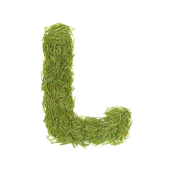字母；綠色字母