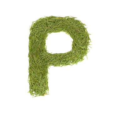 字母；綠色字母