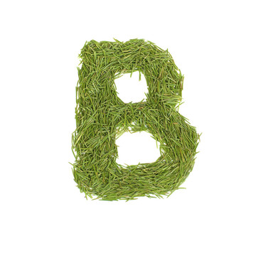 綠色字母；字母B