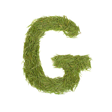 字母；綠色字母