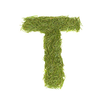 字母；綠色字母