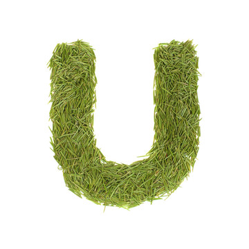 字母；綠色字母