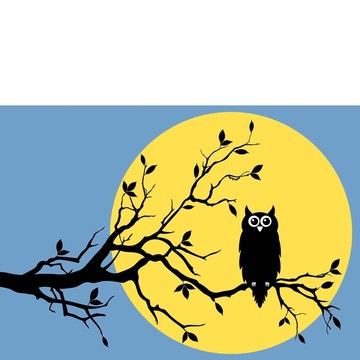 月亮貓頭鷹