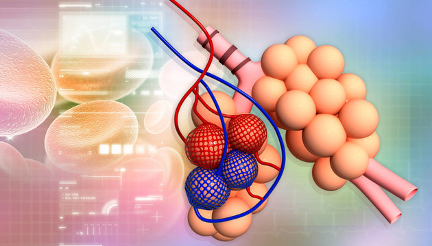 在抽象的設(shè)計(jì)Alveoli