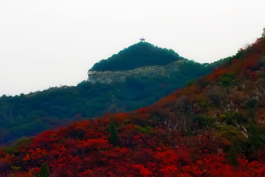 鞏義長(zhǎng)壽山紅葉 高清無(wú)噪