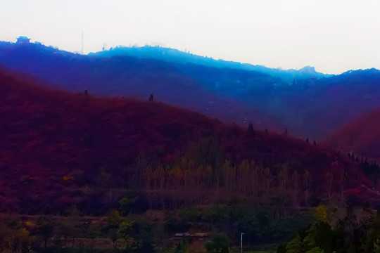 鞏義長(zhǎng)壽山紅葉 高清無(wú)噪