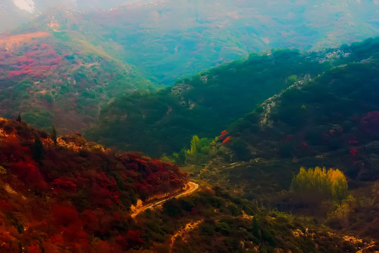 鞏義長壽山紅葉 高清無噪